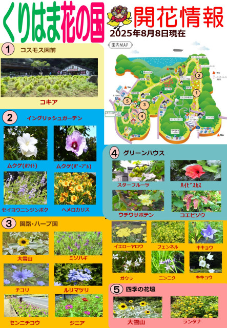 横須賀くりはま花の国・8/8～開花情報